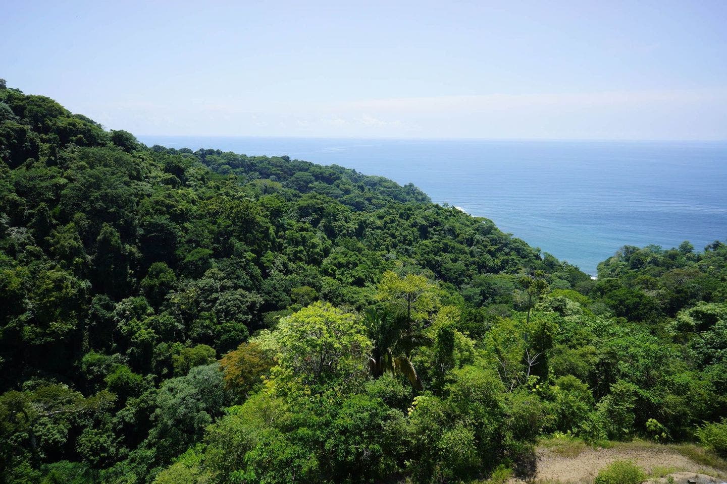Tranquilo Punta Leona — photo 6 of 8
