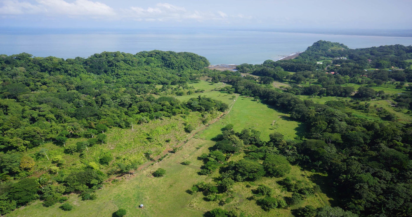 Carara Bay Agujas, Punta Leona, Jaco, Jaco, Garabito, Puntarenas, Costa Rica, Punta Leona