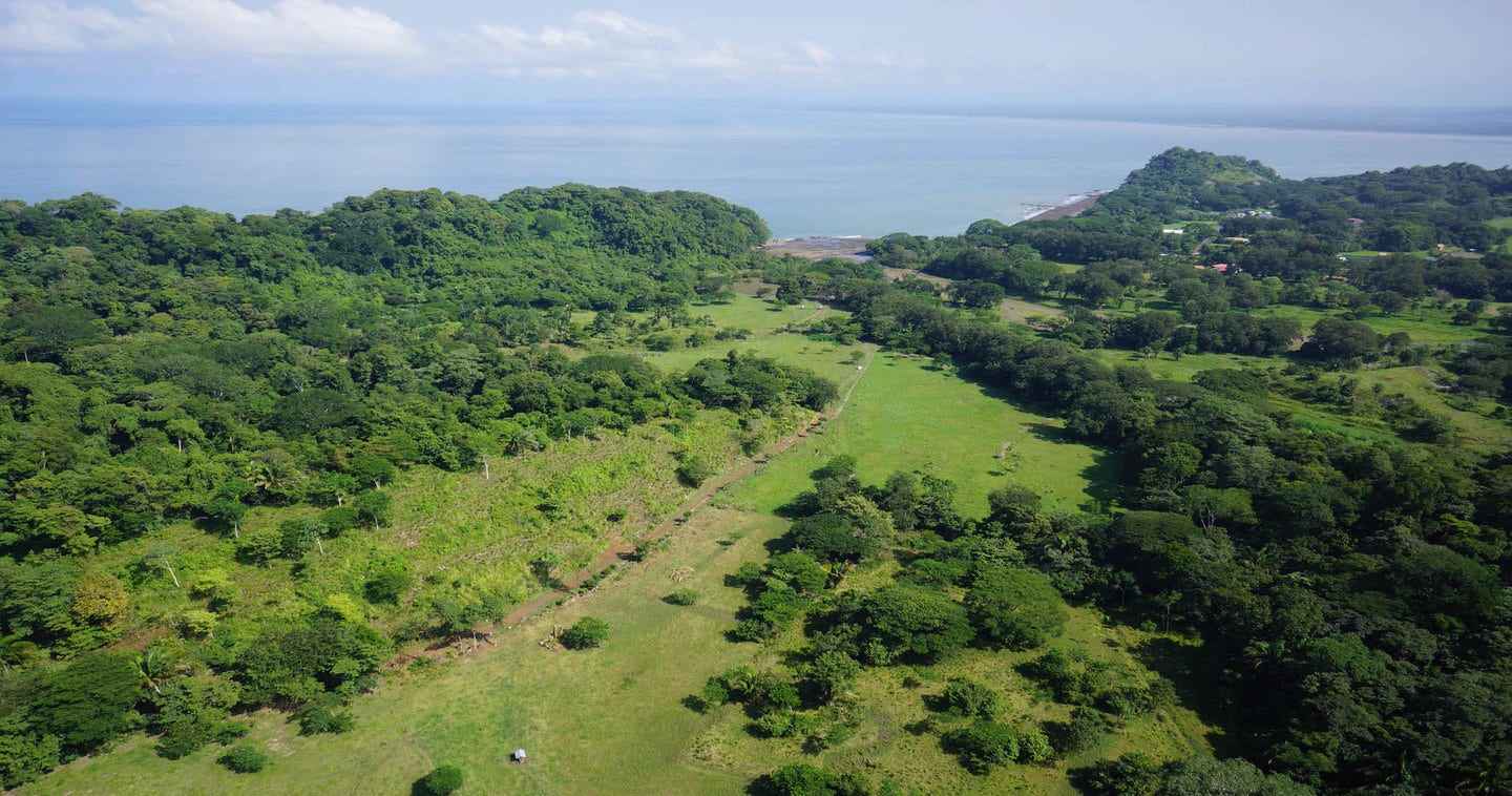 Carara Bay Agujas, Punta Leona, Jaco, Jaco, Garabito, Puntarenas, Costa Rica