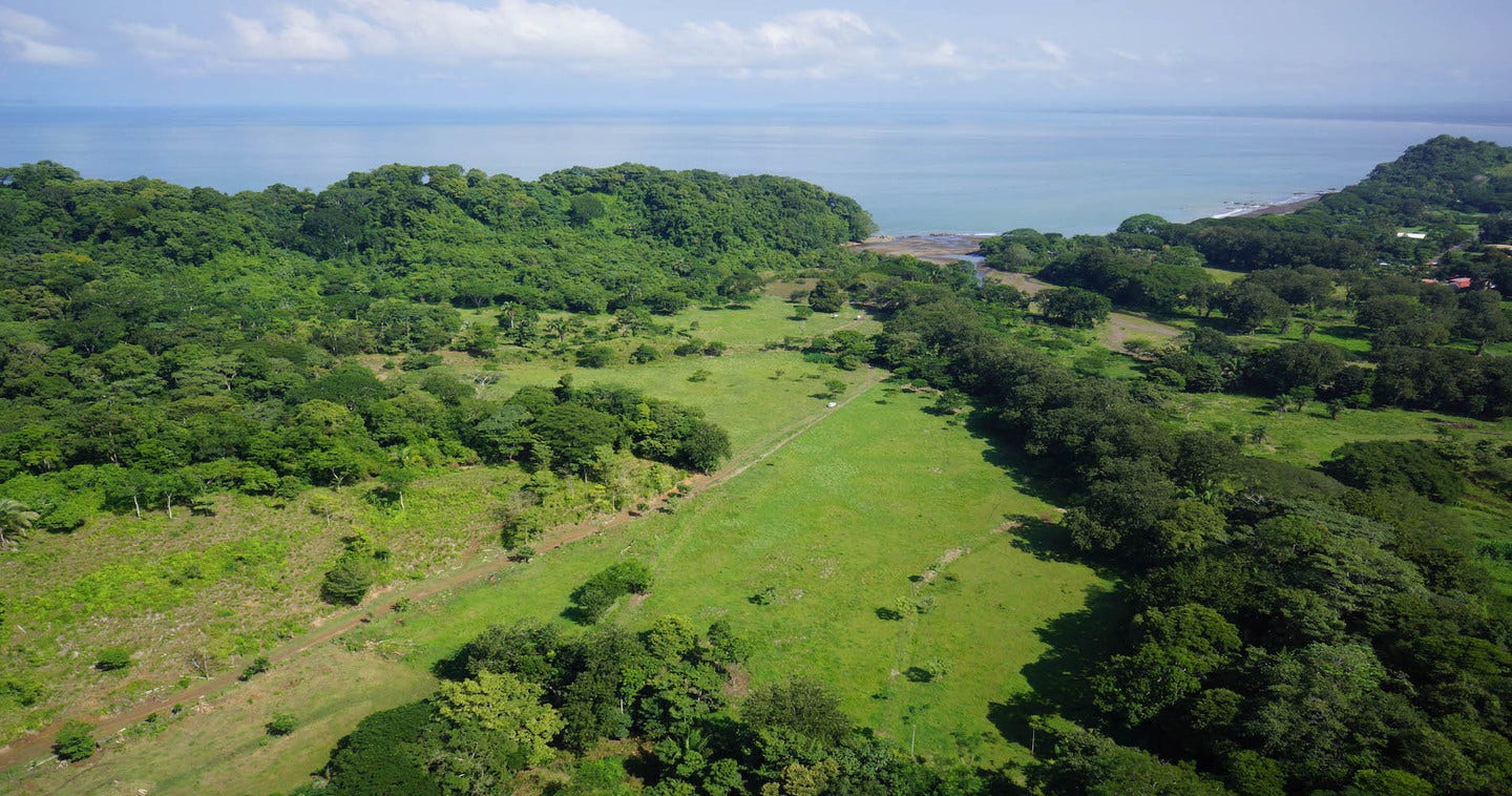 Carara Bay Agujas — photo 5 of 8