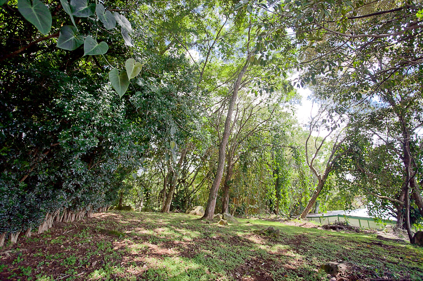 Coyol High Density Development Parcel — photo 2 of 10