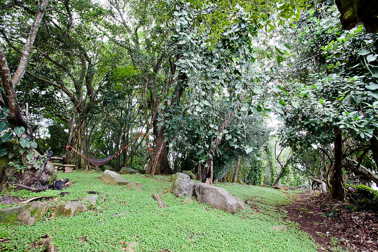 Coyol High Density Development Parcel — photo 7 of 10