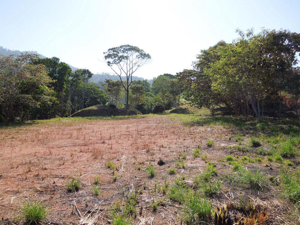 266 Acres of Development Land in Escaleras — photo 7 of 19