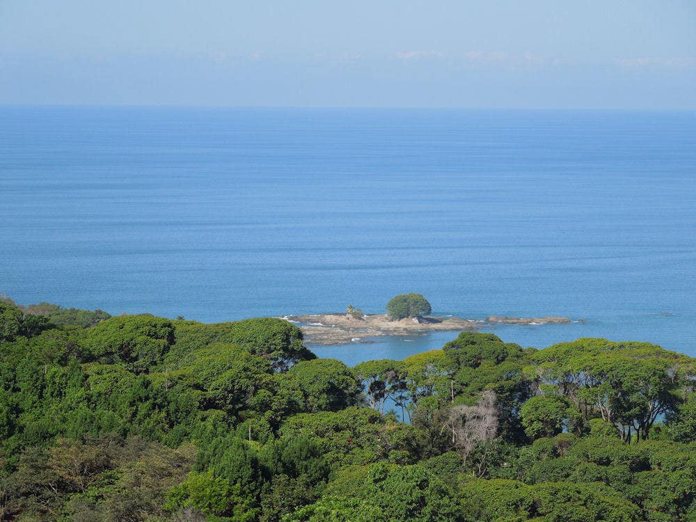 266 Acres of Development Land in Escaleras — photo 9 of 19