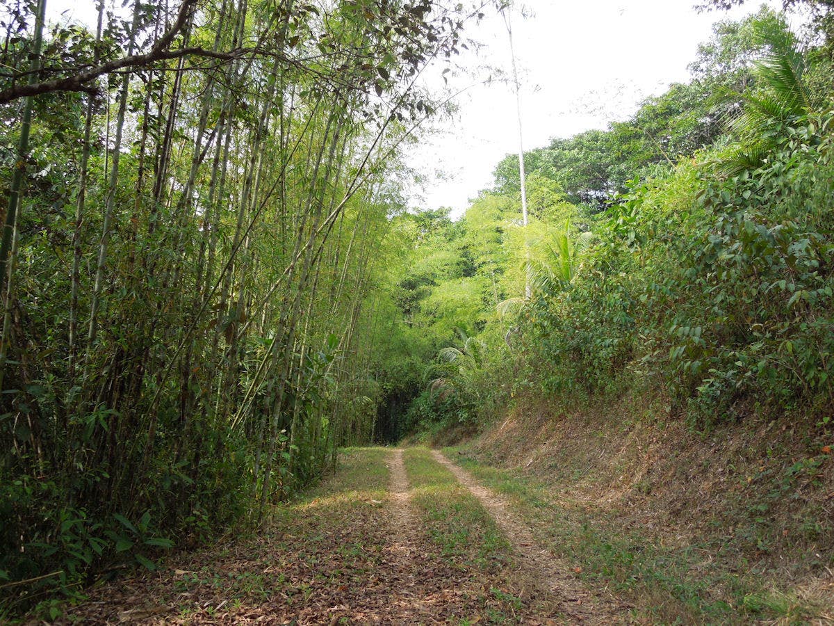 266 Acres of Development Land in Escaleras — photo 12 of 19