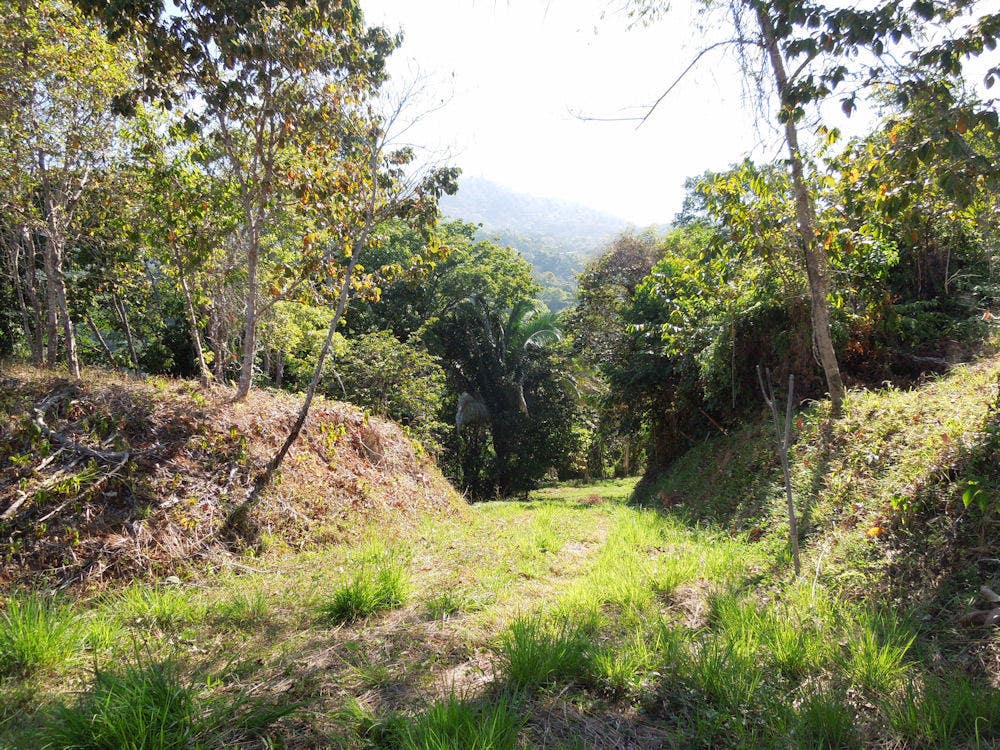 266 Acres of Development Land in Escaleras — photo 16 of 19