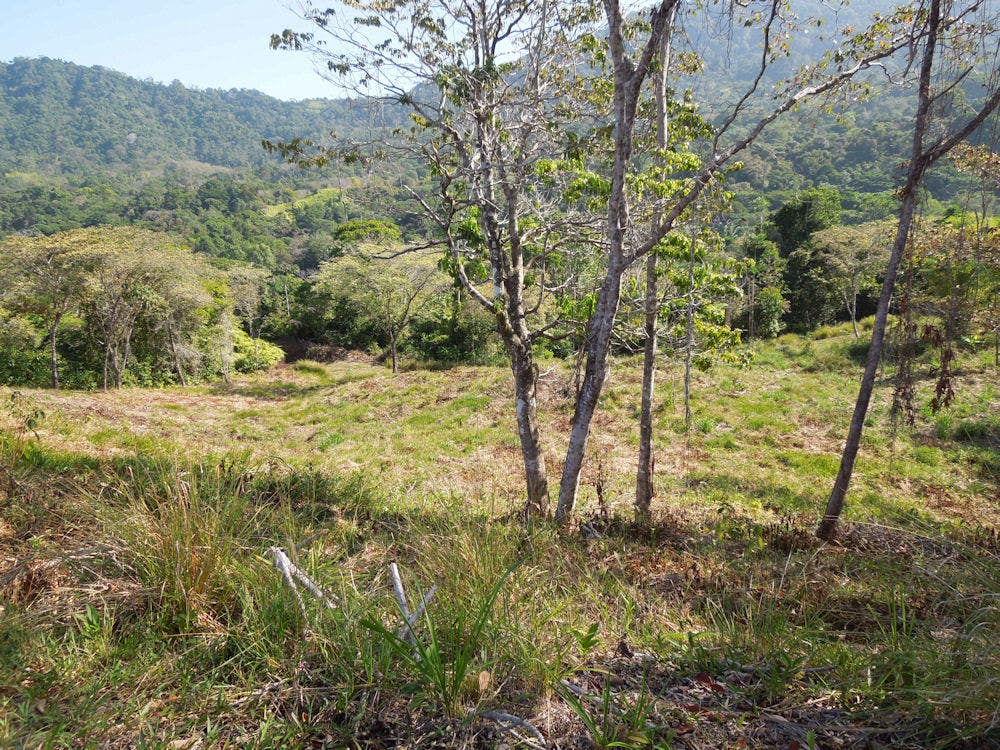 266 Acres of Development Land in Escaleras — photo 17 of 19