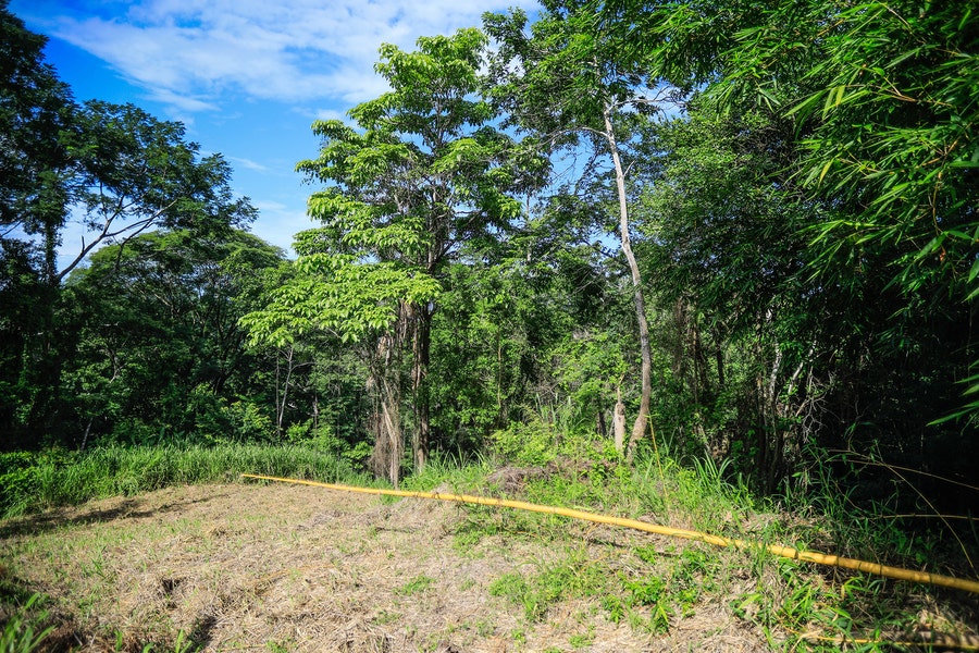 Property photo for 1.8 Acre Land Close to Santa Teresa Beach, Santa Teresa, Cobano, Puntarenas, Puntarenas, Costa Rica