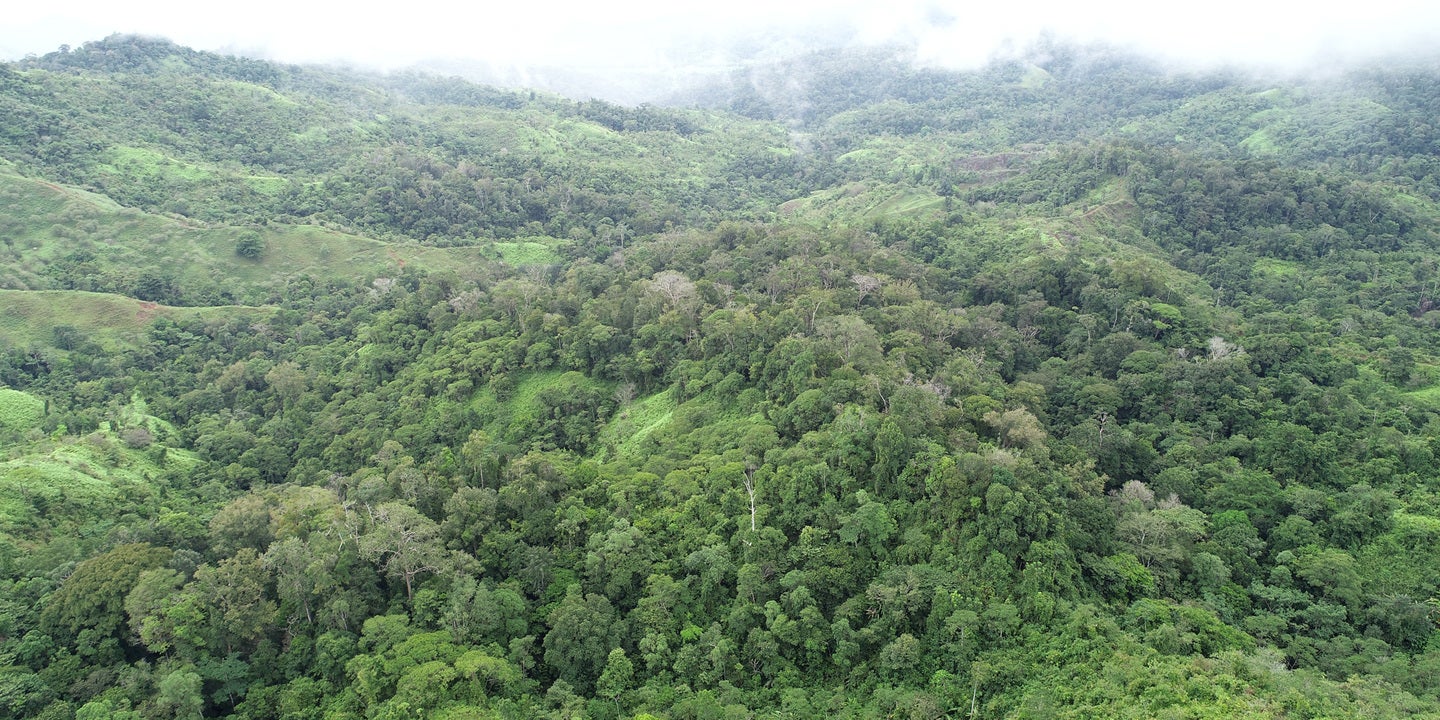 Prime Forest Land with Stunning Ocean and River Views — photo 2 of 19