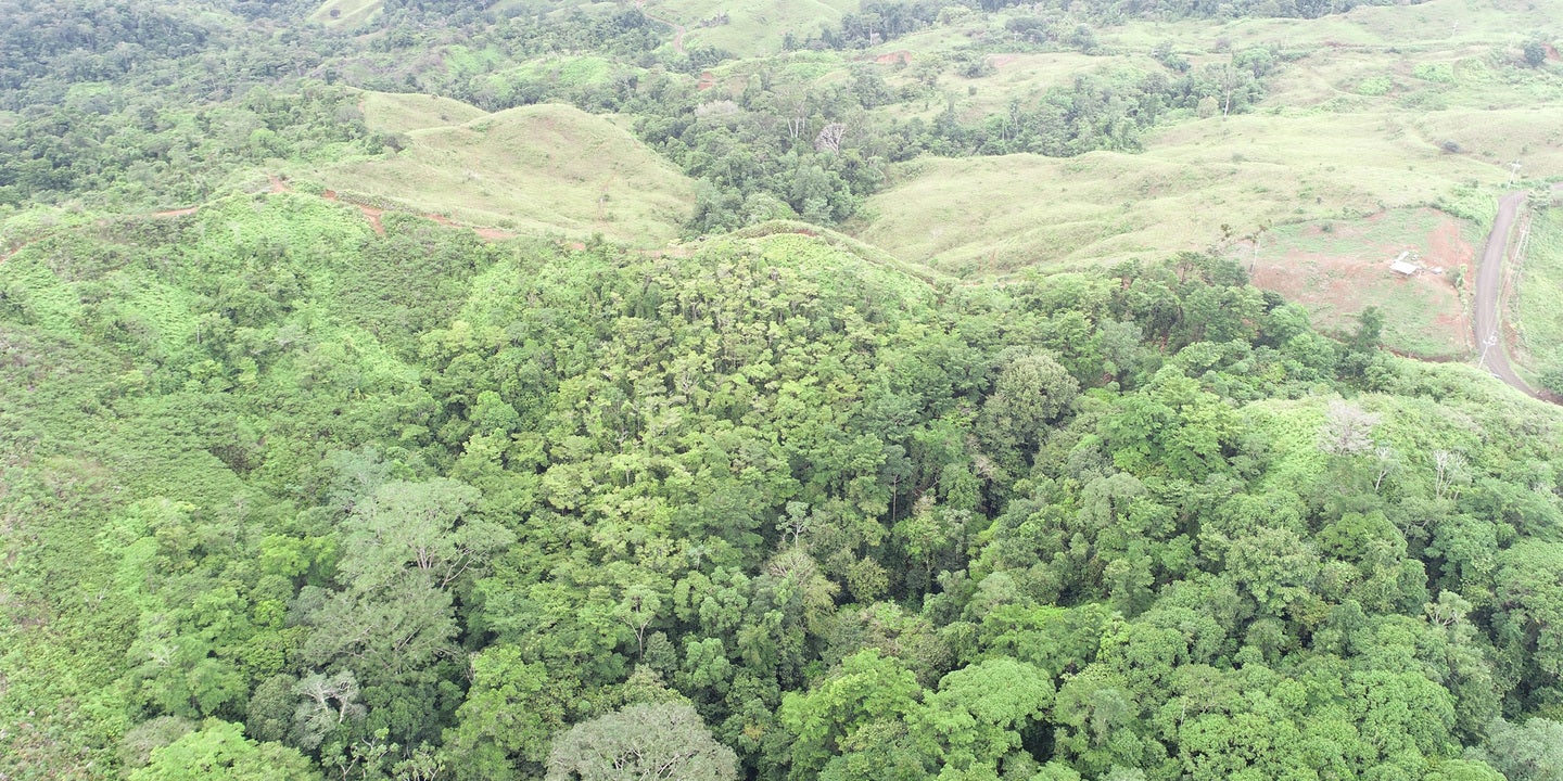 Prime Forest Land with Stunning Ocean and River Views — photo 3 of 19