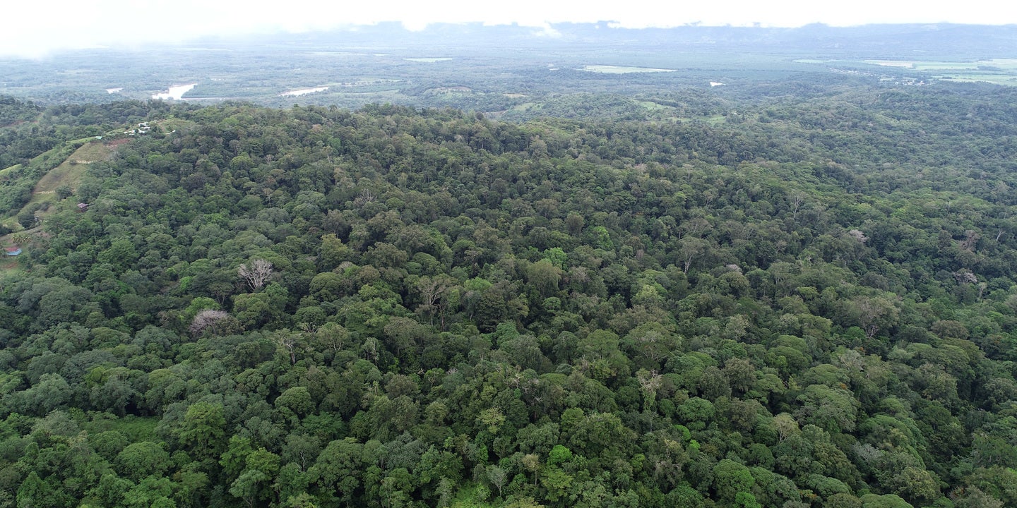 Prime Forest Land with Stunning Ocean and River Views, Golfito, Osa, Osa, Puntarenas, Costa Rica