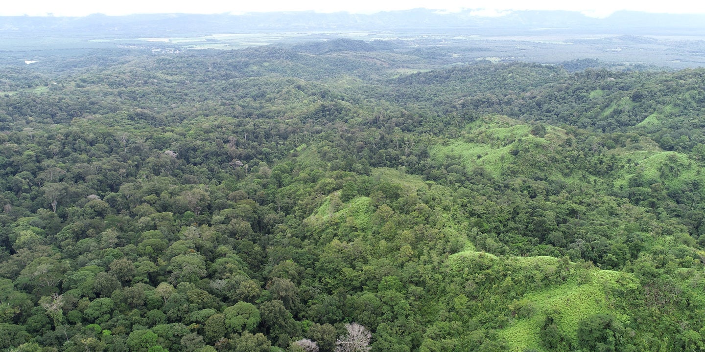 Prime Forest Land with Stunning Ocean and River Views — photo 4 of 19