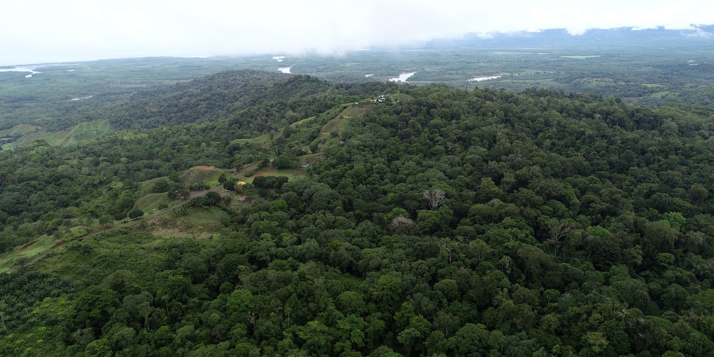 Prime Forest Land with Stunning Ocean and River Views — photo 5 of 19