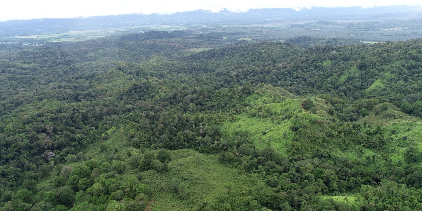 Prime Forest Land with Stunning Ocean and River Views — photo 6 of 19