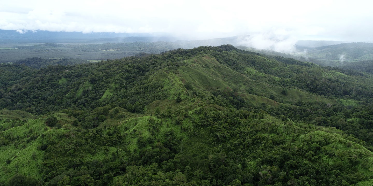 Prime Forest Land with Stunning Ocean and River Views — photo 7 of 19