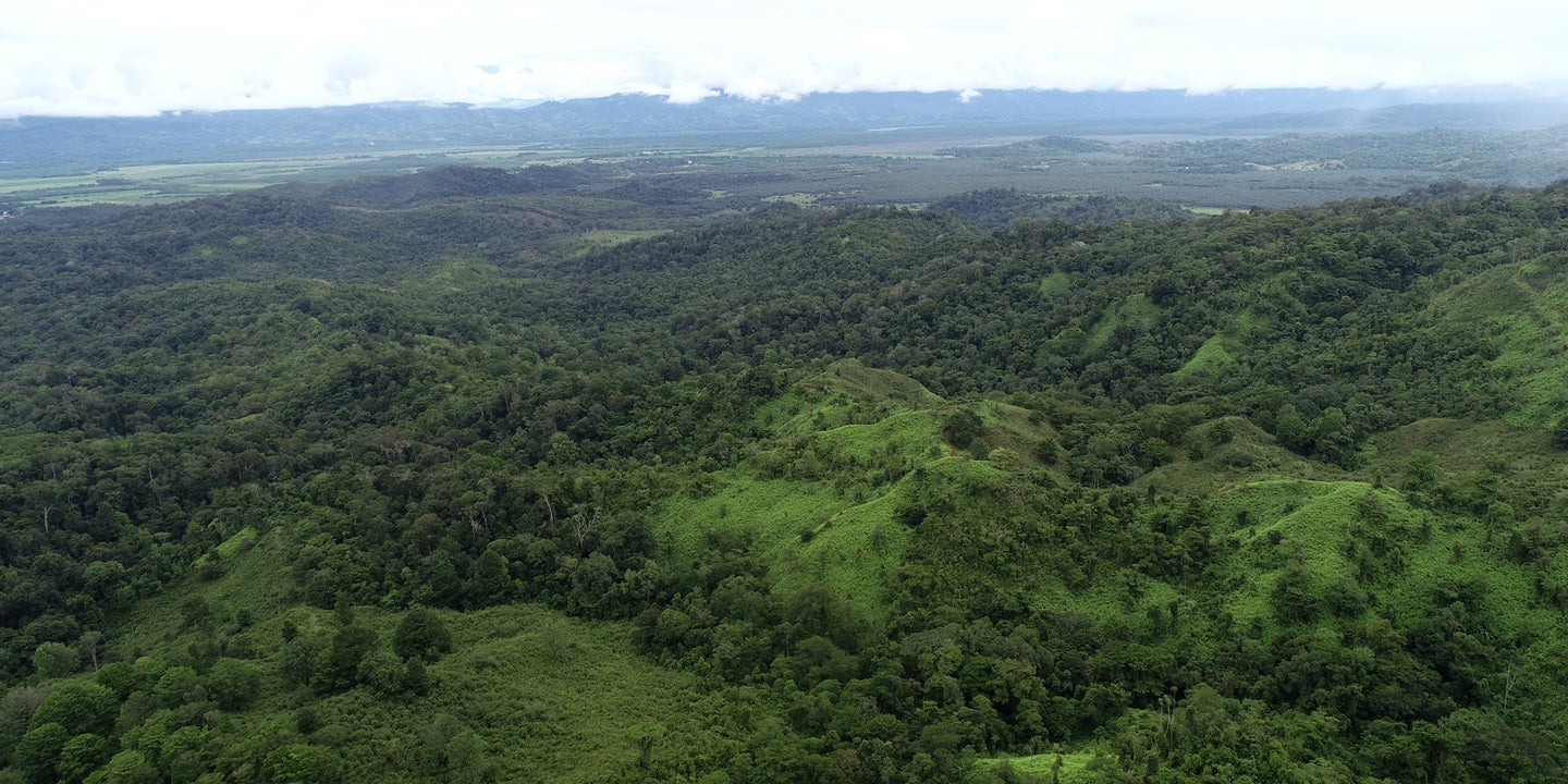 Prime Forest Land with Stunning Ocean and River Views — photo 8 of 19