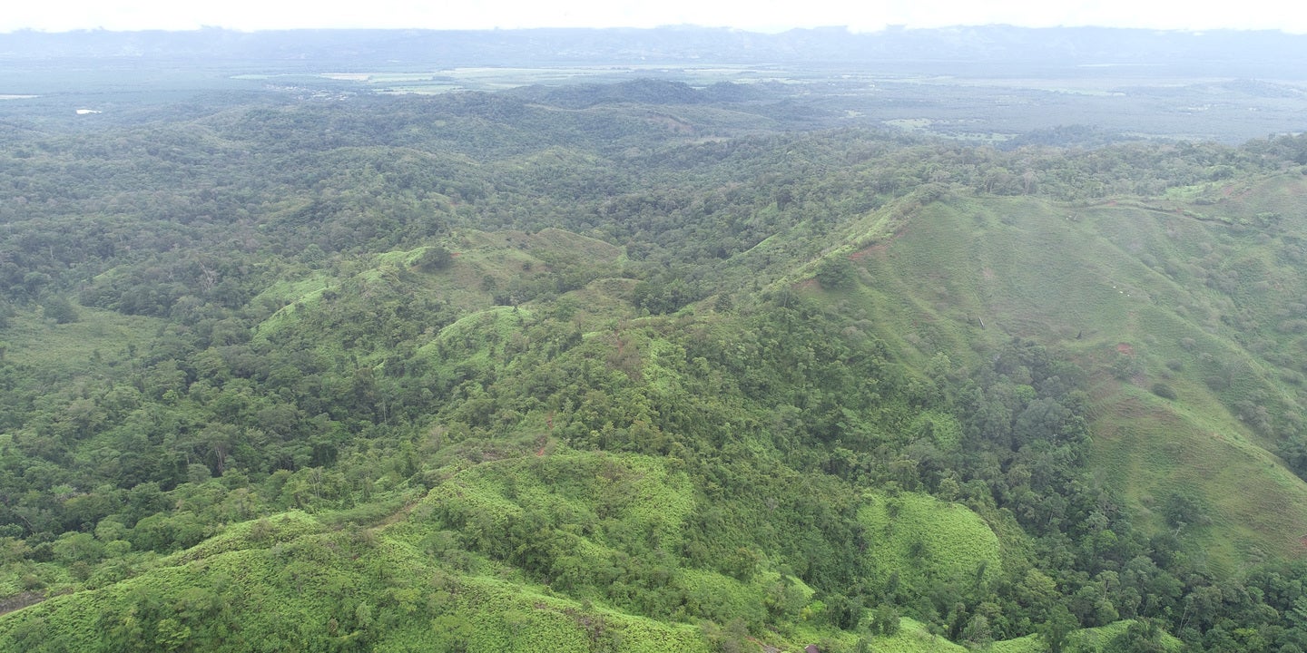 Prime Forest Land with Stunning Ocean and River Views — photo 9 of 19