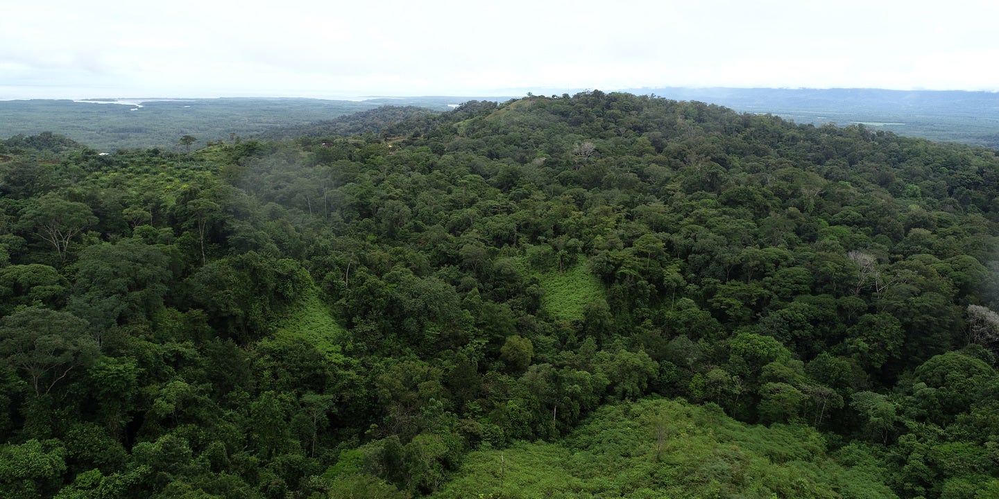Prime Forest Land with Stunning Ocean and River Views — photo 10 of 19