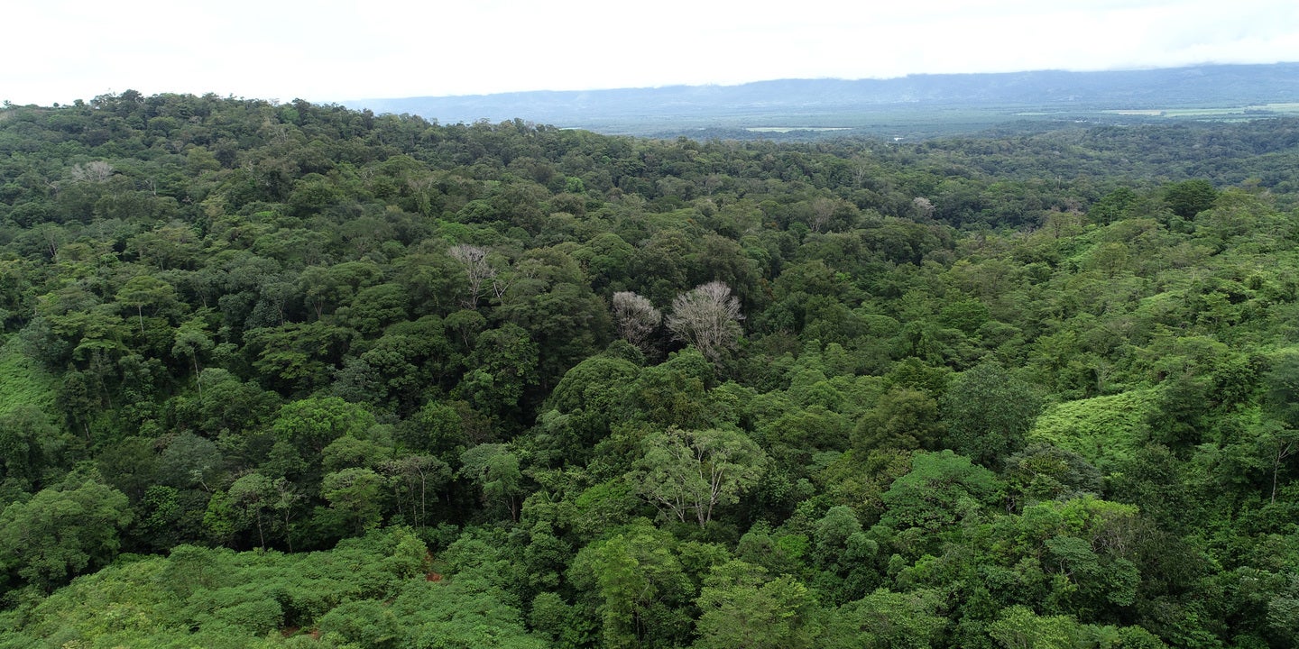 Prime Forest Land with Stunning Ocean and River Views — photo 12 of 19