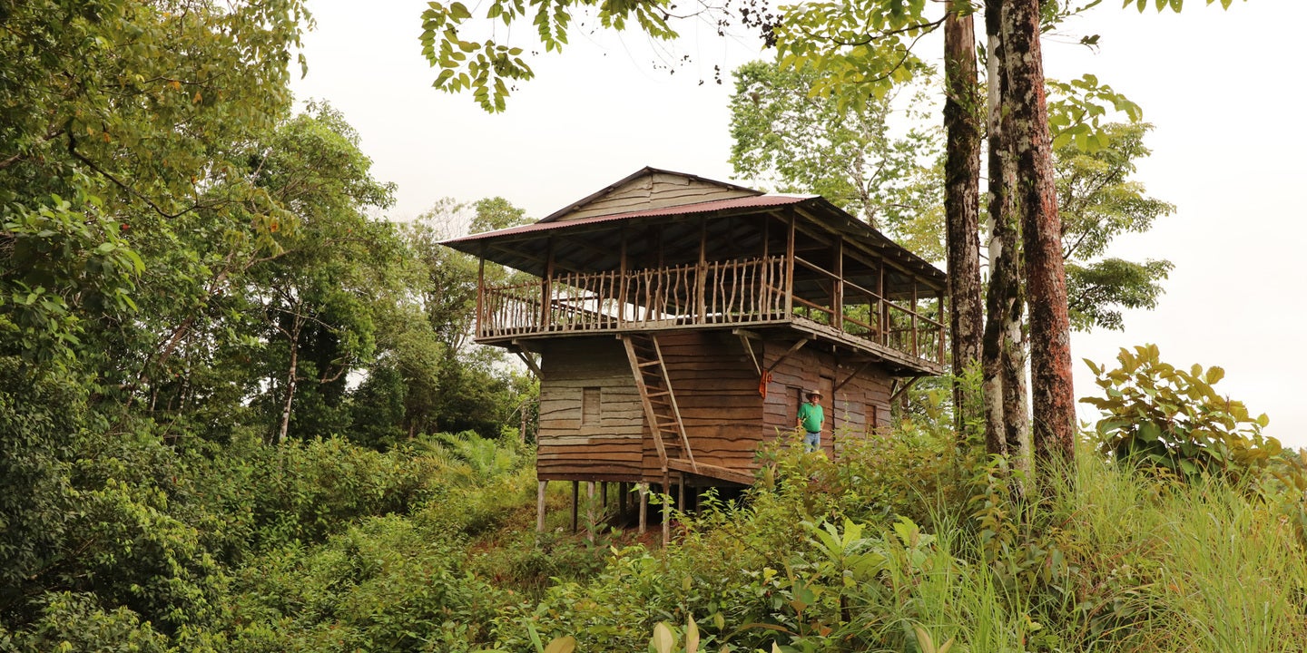 Prime Forest Land with Stunning Ocean and River Views — photo 13 of 19
