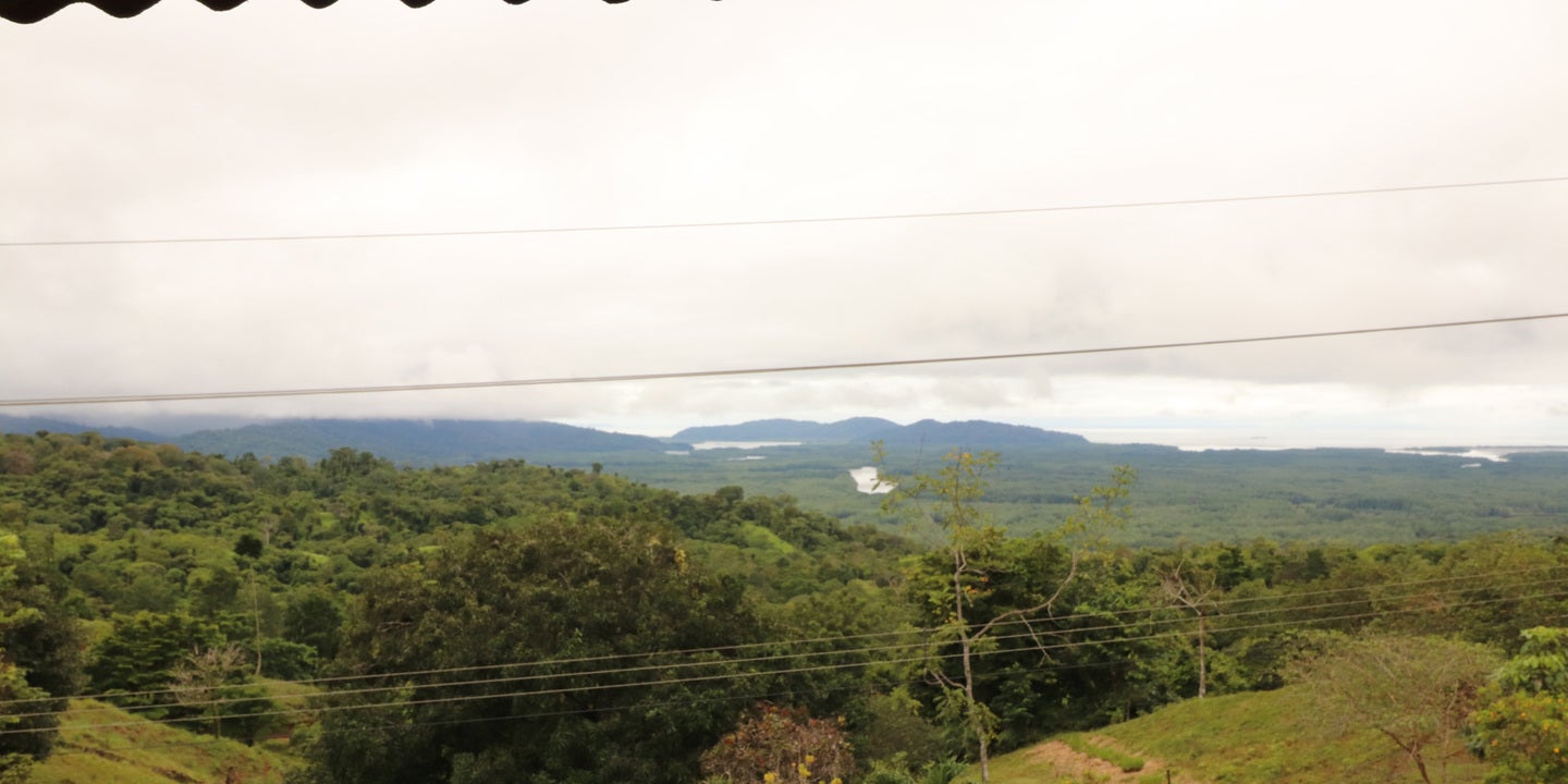 Prime Forest Land with Stunning Ocean and River Views — photo 14 of 19