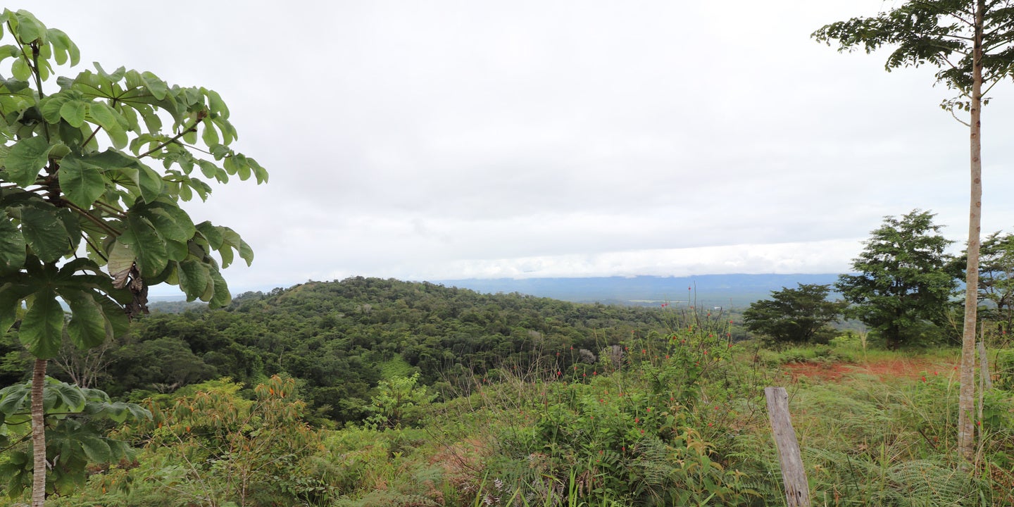 Prime Forest Land with Stunning Ocean and River Views — photo 16 of 19