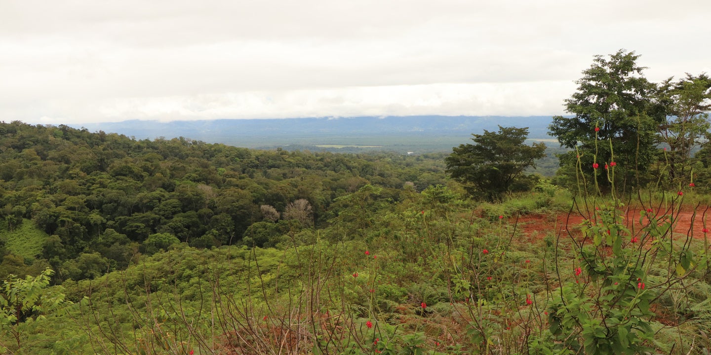 Prime Forest Land with Stunning Ocean and River Views — photo 18 of 19