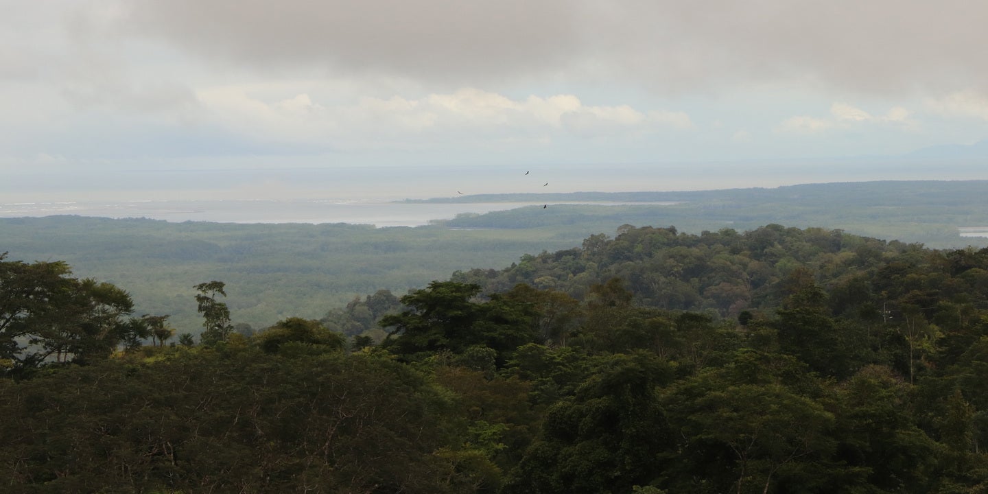 Prime Forest Land with Stunning Ocean and River Views — photo 19 of 19