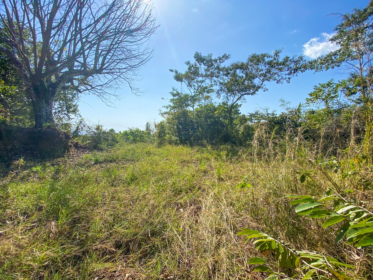 Land with Ocean and Mountain Views San Isidro, San Isidro, San Isidro, Santa Teresa, Cobano, Puntarenas, Puntarenas, Costa Rica 60111 Land with Ocean and Mountain Views San Isidro, San Isidro, San Isidro, Santa Teresa, Cobano, Puntarenas, Puntarenas, Costa Rica 60111
