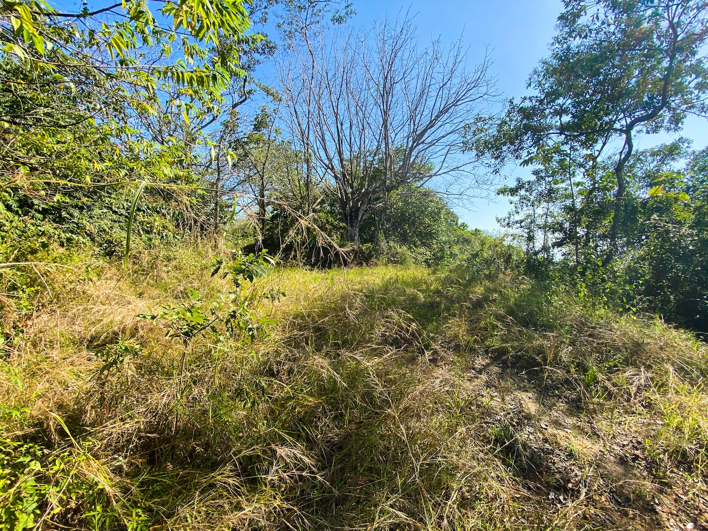 Land with Ocean and Mountain Views San Isidro, San Isidro, San Isidro, Santa Teresa, Cobano, Puntarenas, Puntarenas, Costa Rica 60111 Land with Ocean and Mountain Views San Isidro, San Isidro, San Isidro, Santa Teresa, Cobano, Puntarenas, Puntarenas, Costa Rica 60111