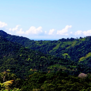 Platanillo de Baru — photo 8 of 12