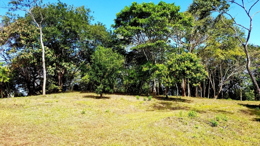 Property photo for 10-hectare Farm Betel Manzanillo, Manzanillo, Santa Teresa, Cobano, Puntarenas, Puntarenas, Costa Rica