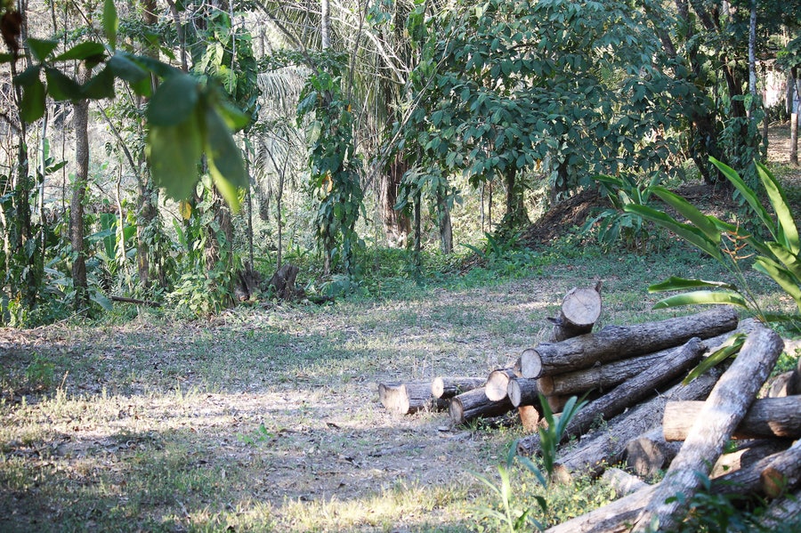 Property photo for Land Close to Playa Carmen Beach, Santa Teresa, Cobano, Puntarenas, Puntarenas, Costa Rica