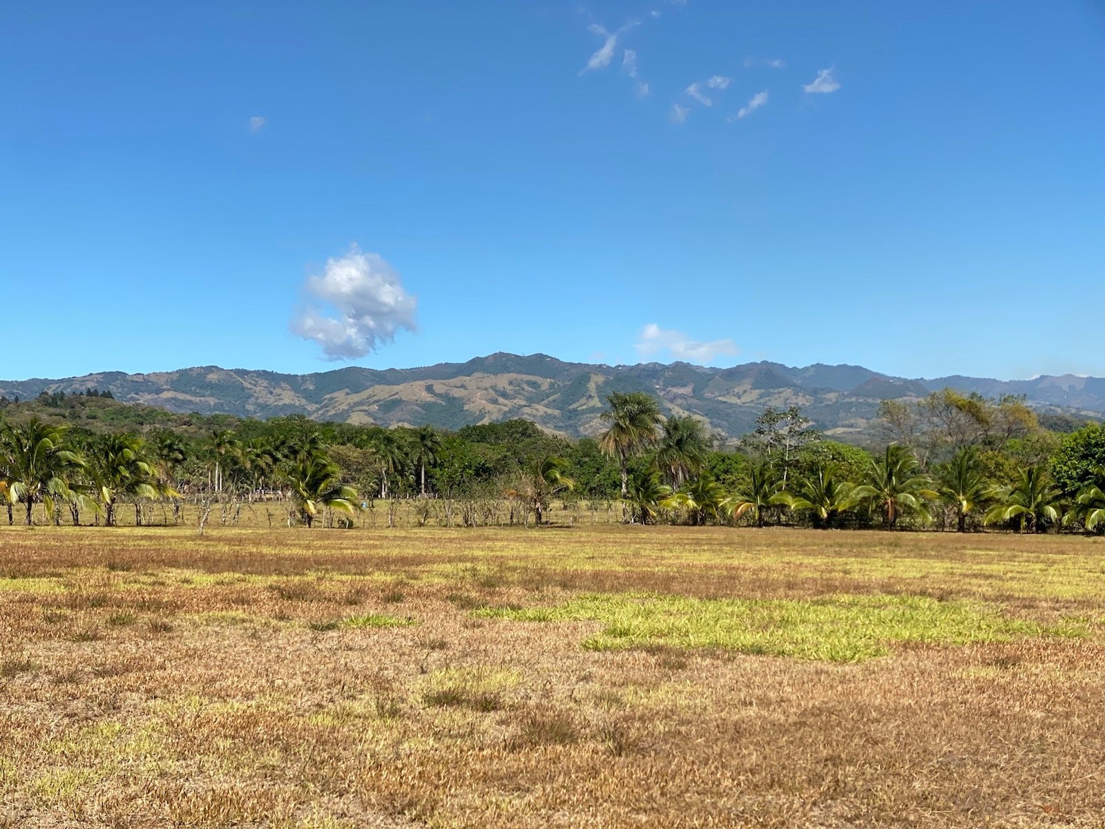 Orotina Mango Tree Paradise Estate , #4 — photo 2 of 19
