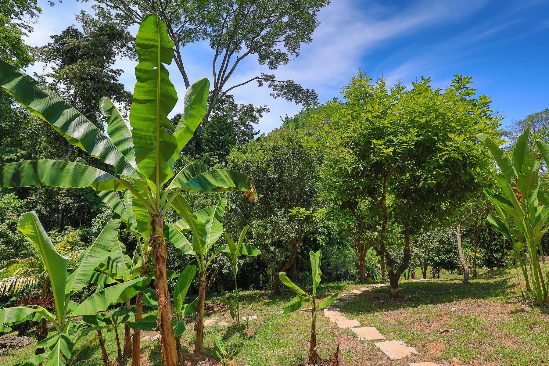 Casa Naturaleza — photo 13 of 19