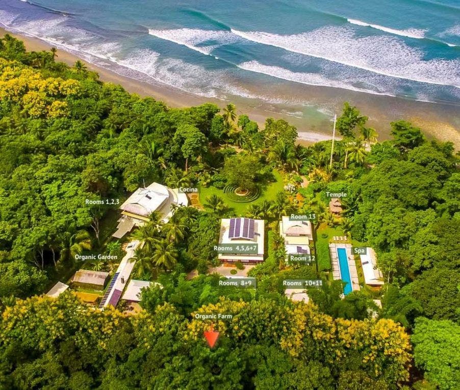 Beachfront Estate in Cabo Matapalo, Golfito, Puerto Jimenez, Osa, Puntarenas, Costa Rica