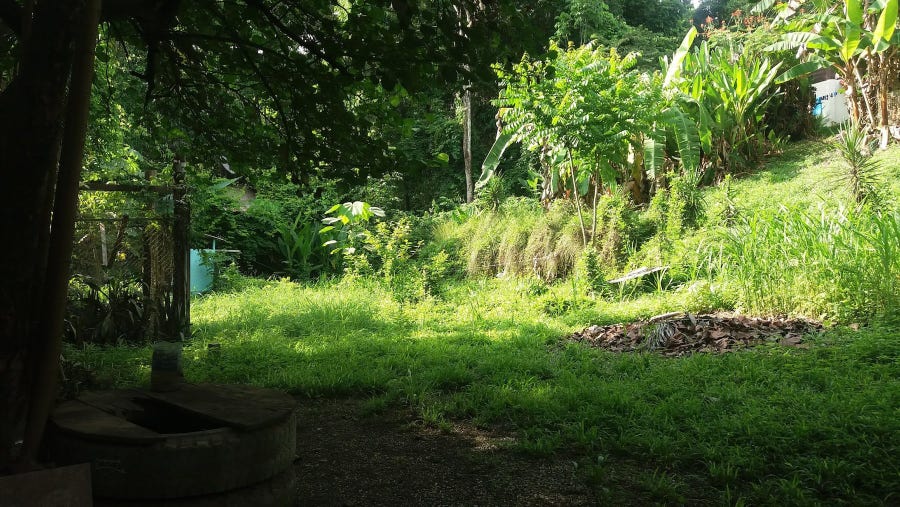 Property photo for Land on the main road in Santa Teresa ideal for a building a business Commercial Land in the Center of Santa Teresa, Santa Teresa, Cobano, Puntarenas, Puntarenas, Costa Rica