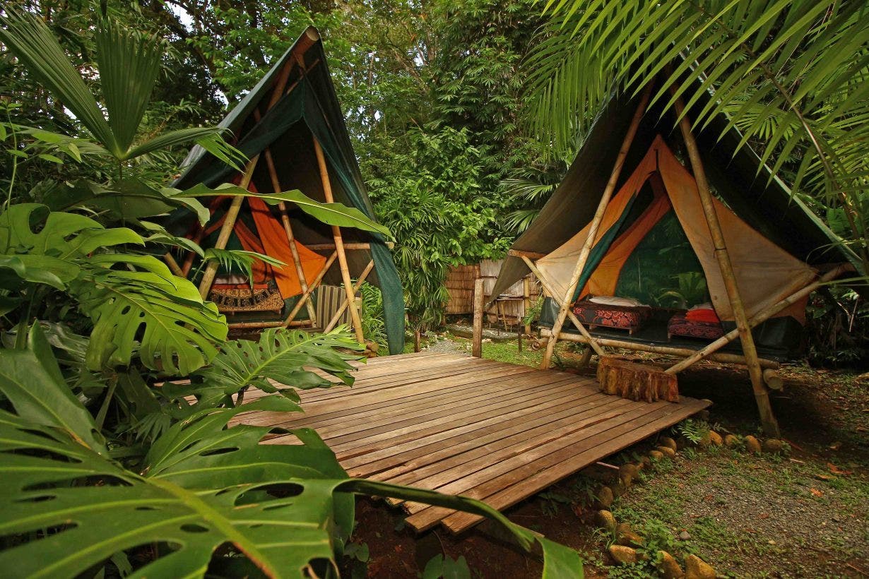 Oceanfront Jungle Eco-Lodge — photo 8 of 16