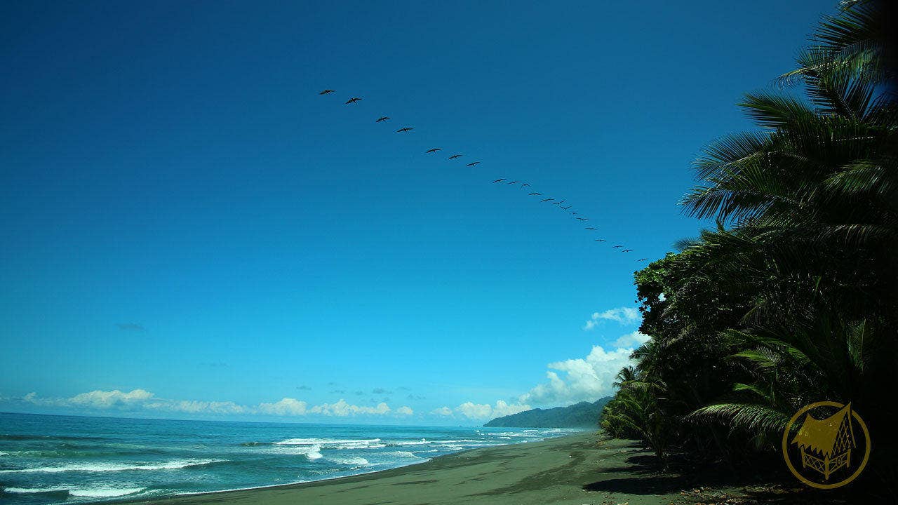 Oceanfront Jungle Eco-Lodge — photo 16 of 16