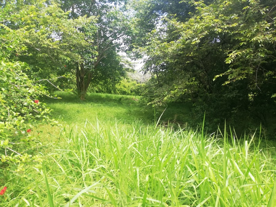 Property photo for Commercial Lot Mal Pais, Mal Pais, Santa Teresa, Cobano, Puntarenas, Puntarenas, Costa Rica