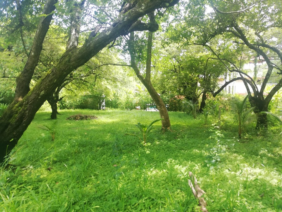 Property photo for Two Residential lots for sale Mal Pais, Mal Pais, Santa Teresa, Cobano, Puntarenas, Puntarenas, Costa Rica
