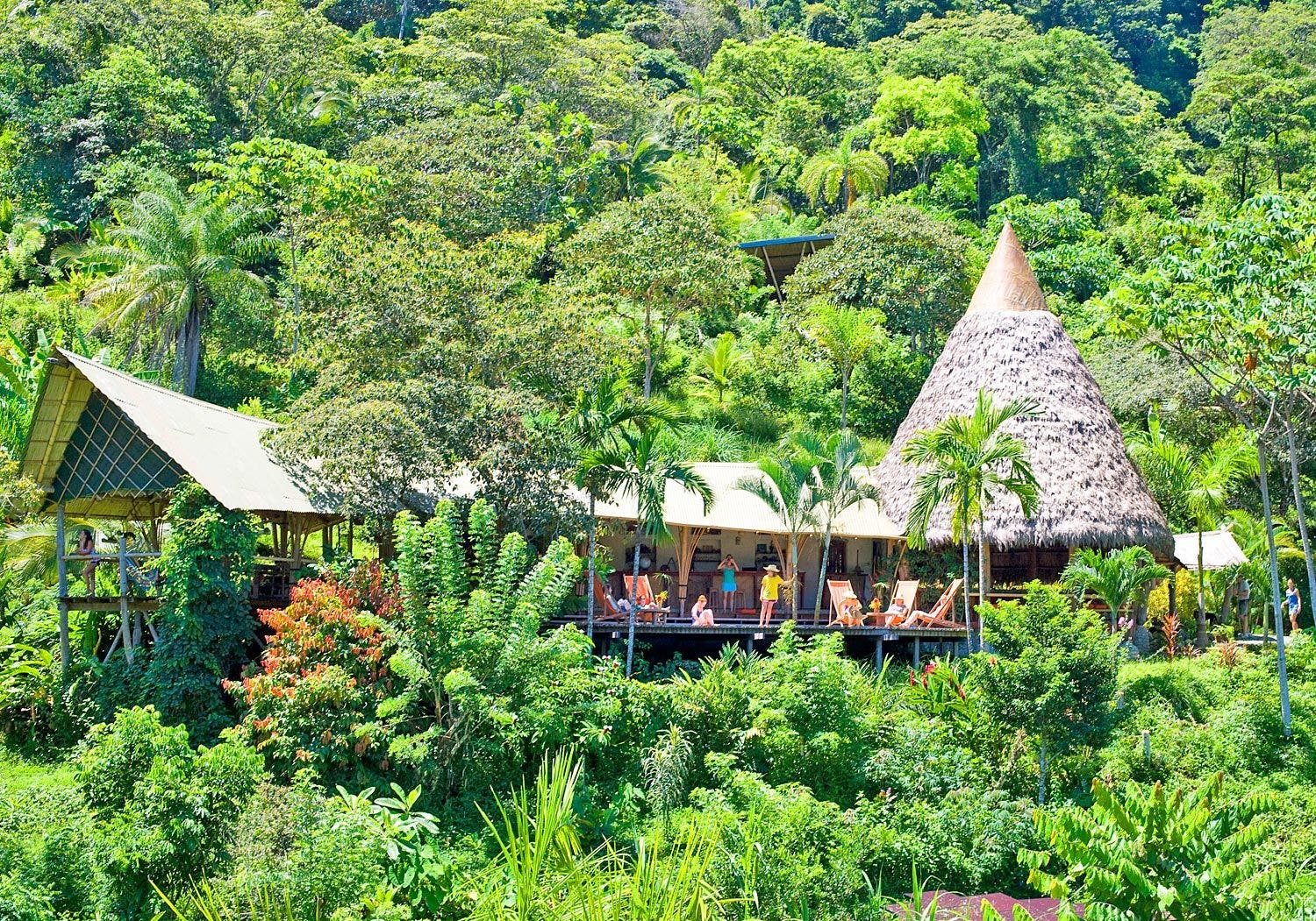 Oceanfront Jungle Eco-Lodge — photo 5 of 16