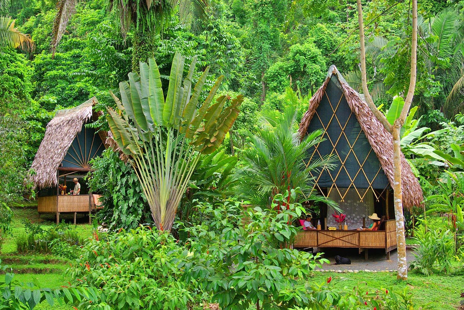 Oceanfront Jungle Eco-Lodge — photo 2 of 16