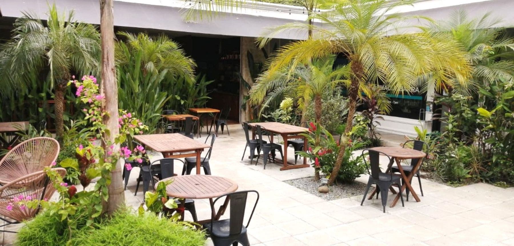 Commercial Plaza and Six Bungalows Hotel with Pool in Ojochal — photo 6 of 16