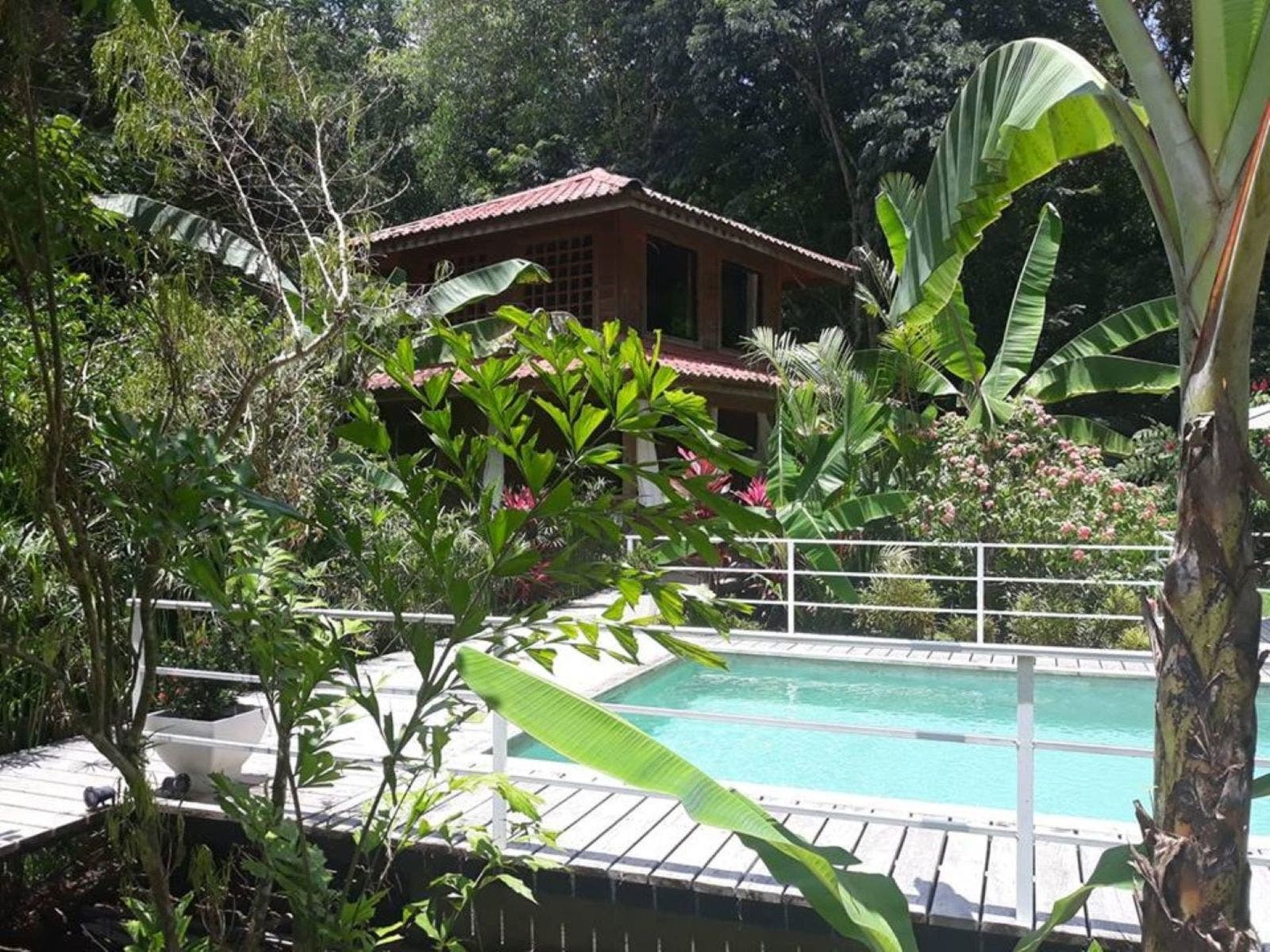 Commercial Plaza and Six Bungalows Hotel with Pool in Ojochal — photo 10 of 16