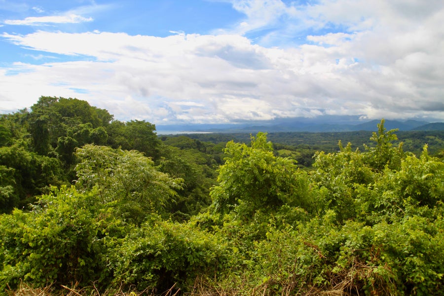 Property photo for Santiago Hills  Privacy and Views Galore minutes to Playa Hermosa Beach! , Santiago, Santa Teresa, Puntarenas, Costa Rica