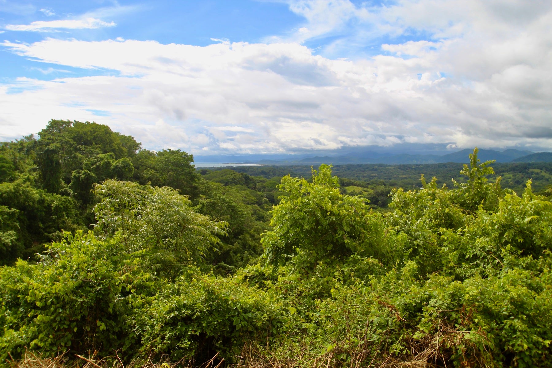 Santiago Hills Privacy and Views Galore minutes to Playa Hermosa Beach! , Santiago, Santiago, Santa Teresa, Puntarenas, Costa Rica 60111 Santiago Hills Privacy and Views Galore minutes to Playa Hermosa Beach! , Santiago, Santiago, Santa Teresa, Puntarenas, Costa Rica 60111