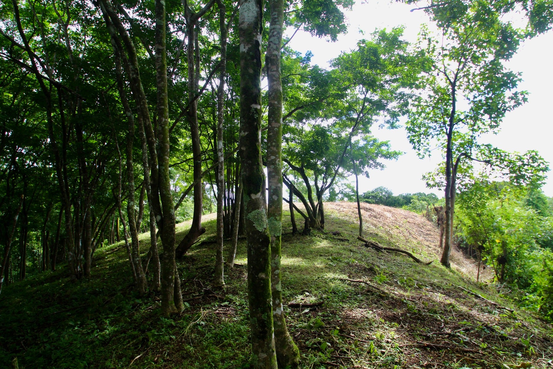 Santiago Hills Privacy and Views Galore minutes to Playa Hermosa Beach! , Santiago, Santiago, Santa Teresa, Puntarenas, Costa Rica 60111 Santiago Hills Privacy and Views Galore minutes to Playa Hermosa Beach! , Santiago, Santiago, Santa Teresa, Puntarenas, Costa Rica 60111