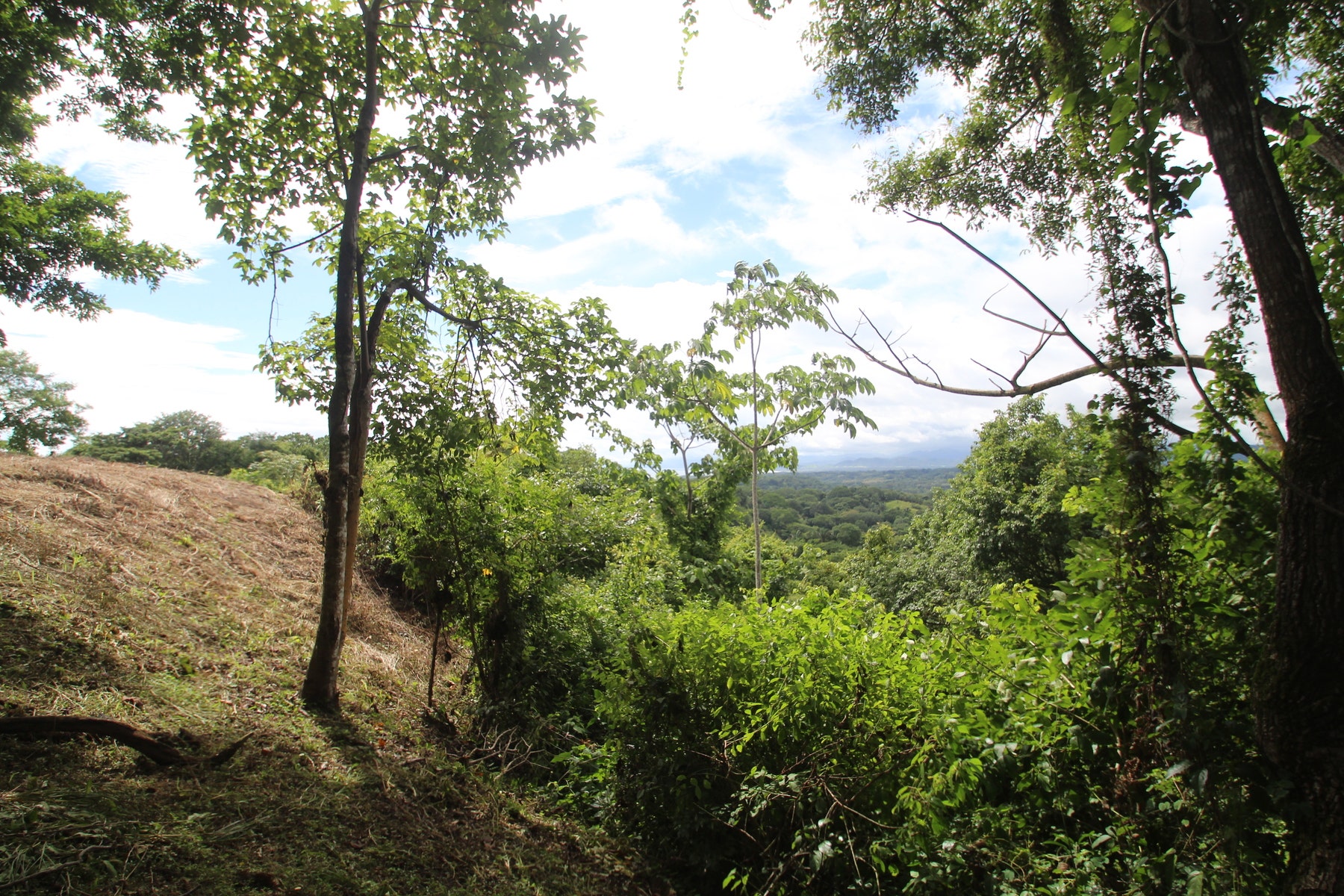 Santiago Hills Privacy and Views Galore minutes to Playa Hermosa Beach! , Santiago, Santiago, Santa Teresa, Puntarenas, Costa Rica 60111 Santiago Hills Privacy and Views Galore minutes to Playa Hermosa Beach! , Santiago, Santiago, Santa Teresa, Puntarenas, Costa Rica 60111