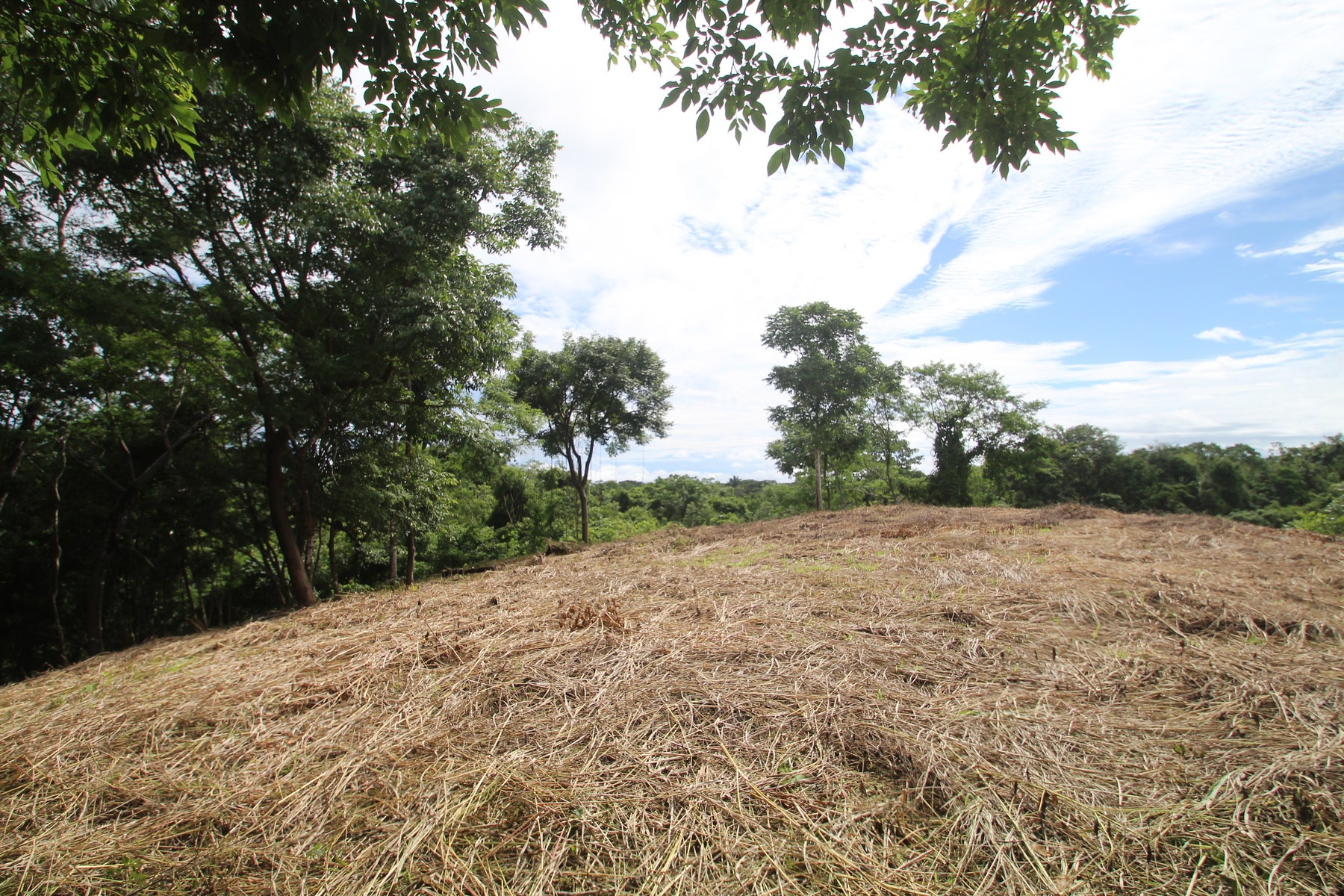 Santiago Hills Privacy and Views Galore minutes to Playa Hermosa Beach! , Santiago, Santiago, Santa Teresa, Puntarenas, Costa Rica 60111 Santiago Hills Privacy and Views Galore minutes to Playa Hermosa Beach! , Santiago, Santiago, Santa Teresa, Puntarenas, Costa Rica 60111